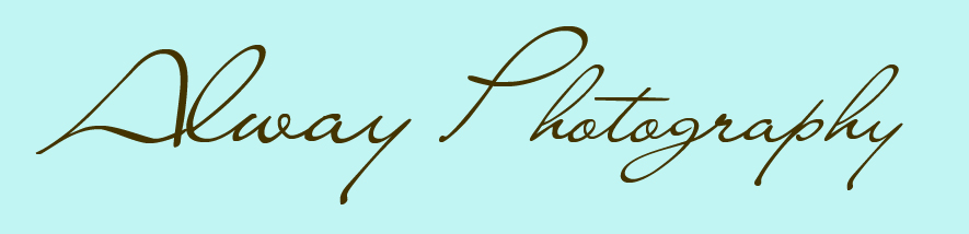 Alway Photography – Ludington Photographer logo